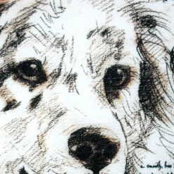 Australian Sheepdog Pillow 17x17