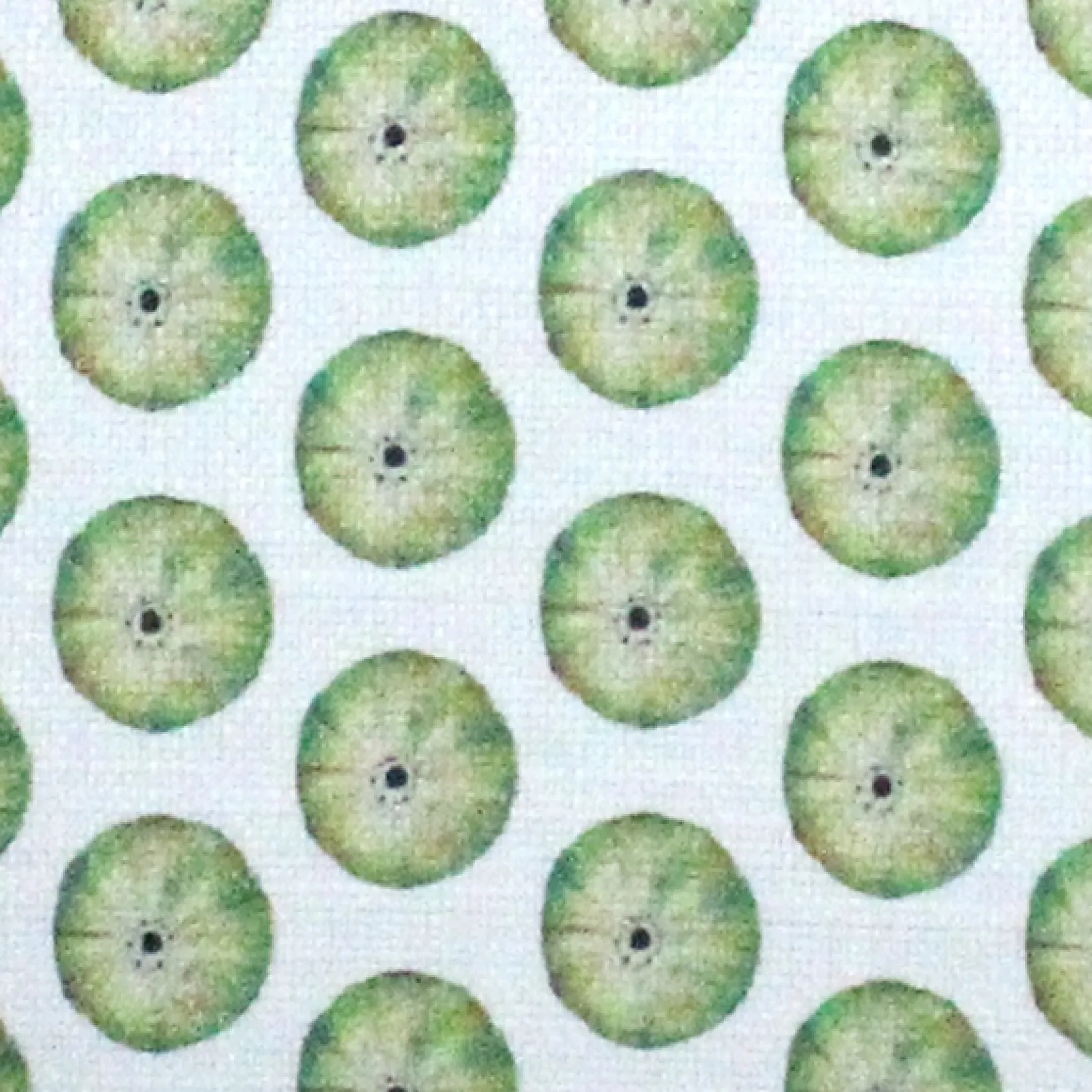 Big Island Sea Urchin Tiny Scale Print Throw Pillow 26x26