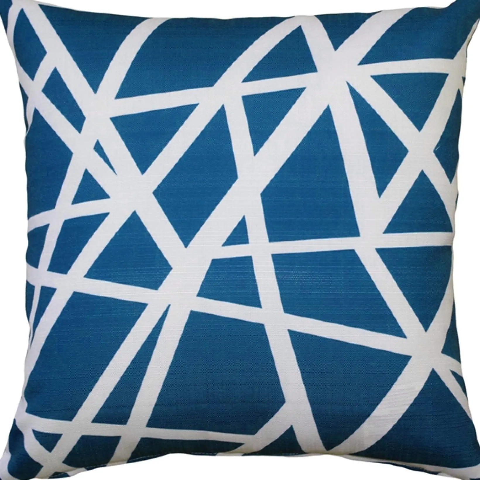 Bird's Nest Blue Throw Pillow 19x19