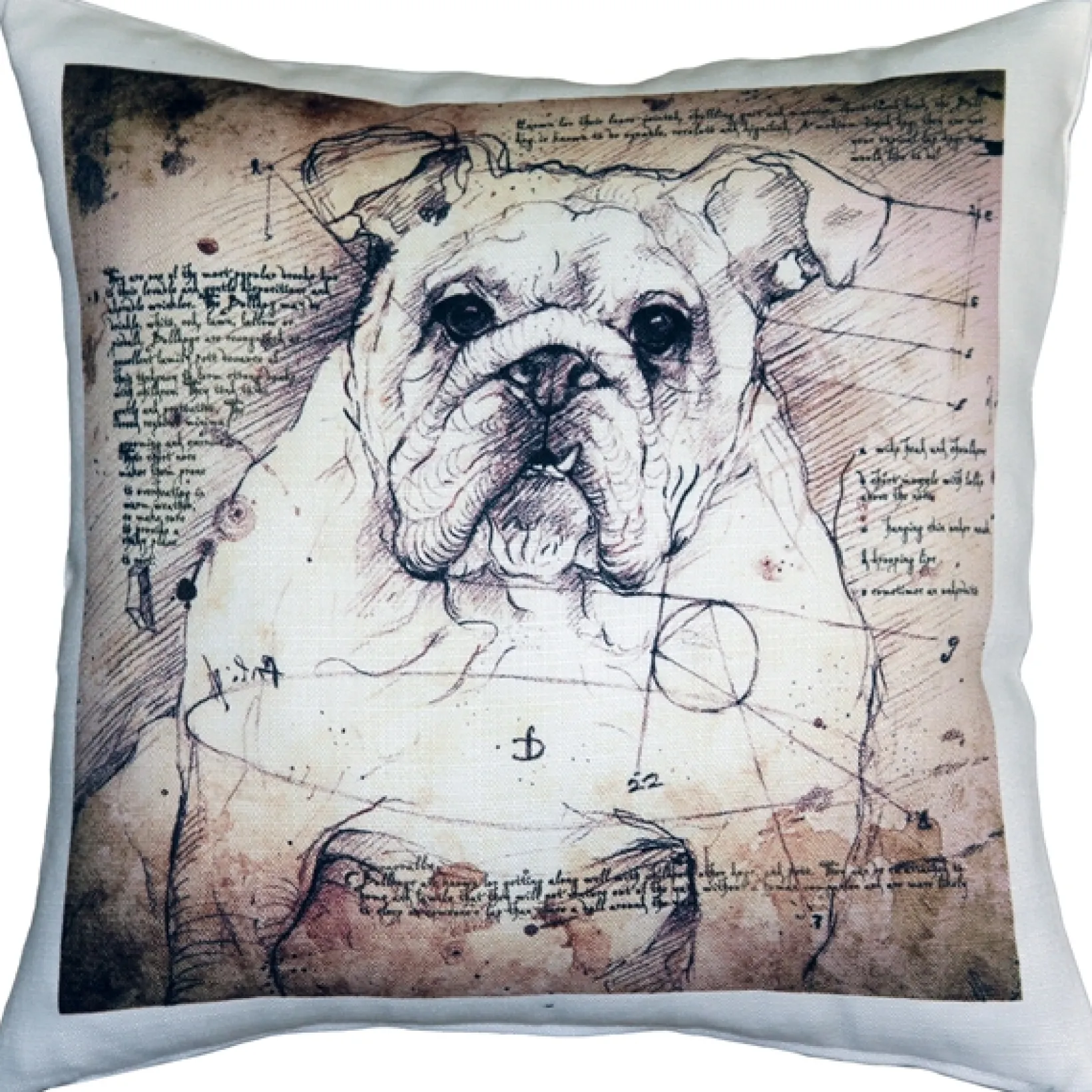British Bulldog 17x17 Dog Pillow