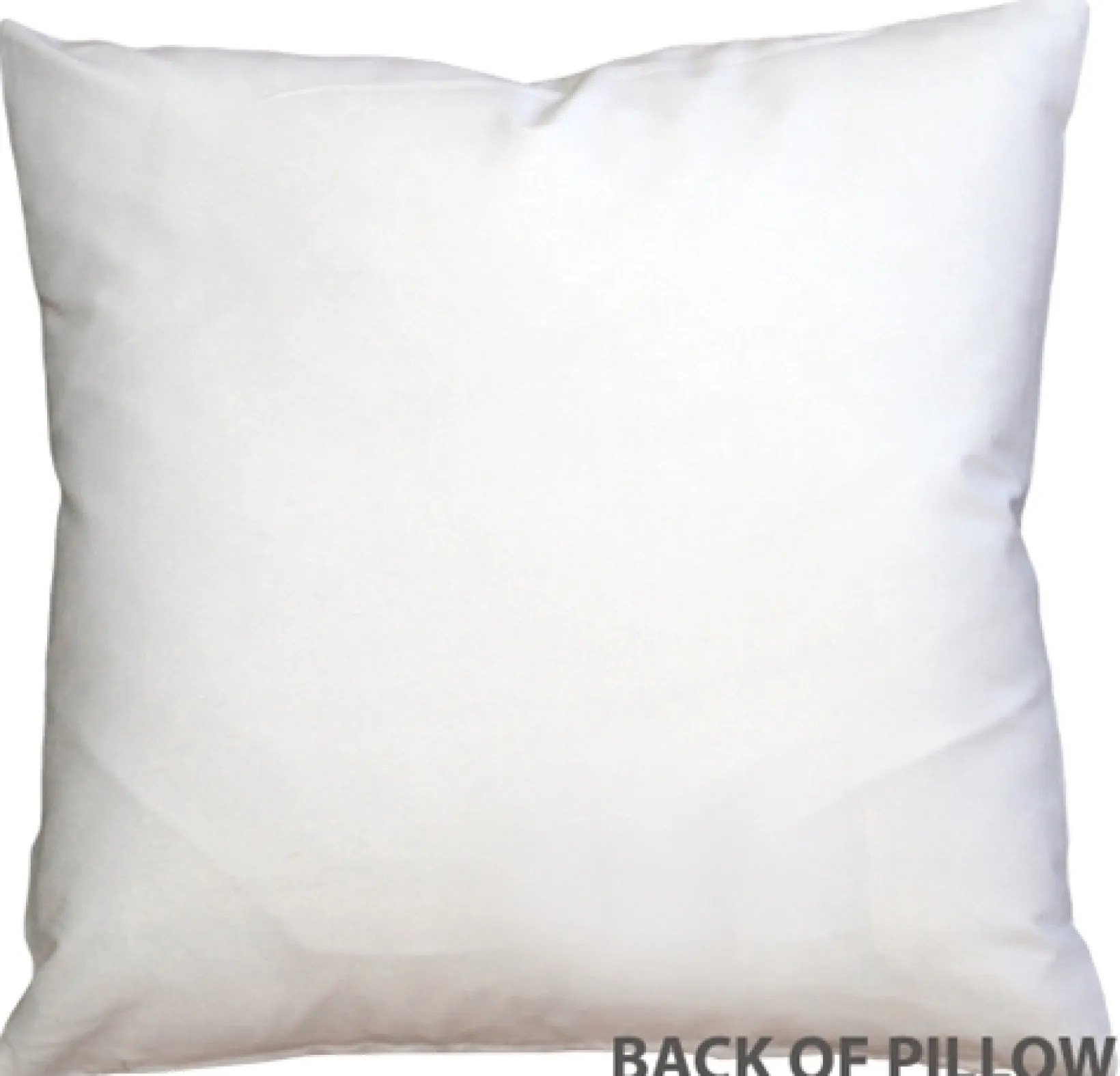 Cat Reflections 16x16 Throw Pillow