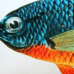Guppy Fish Pillow 12x19