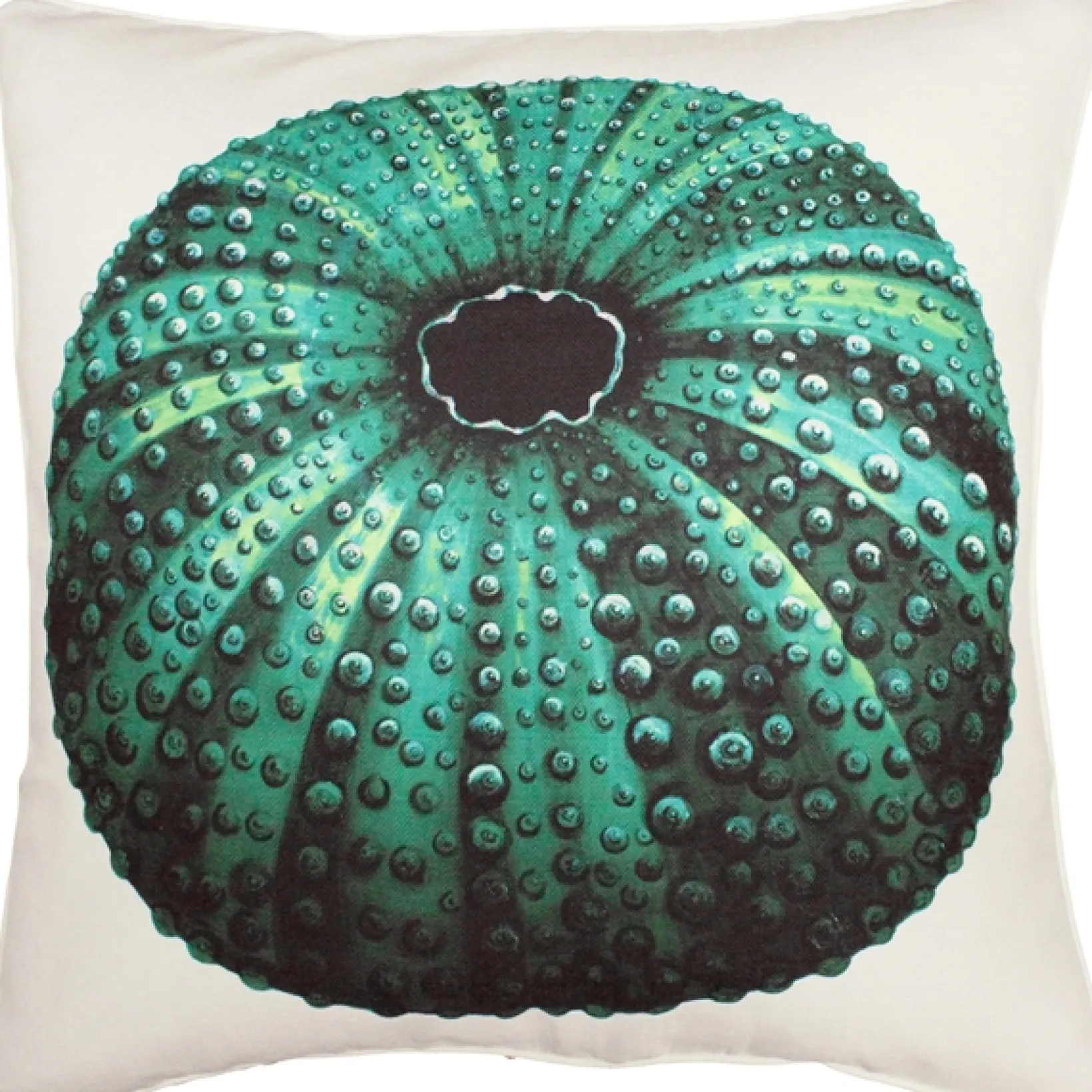 Jekyll Island Sea Urchin Throw Pillow 26x26