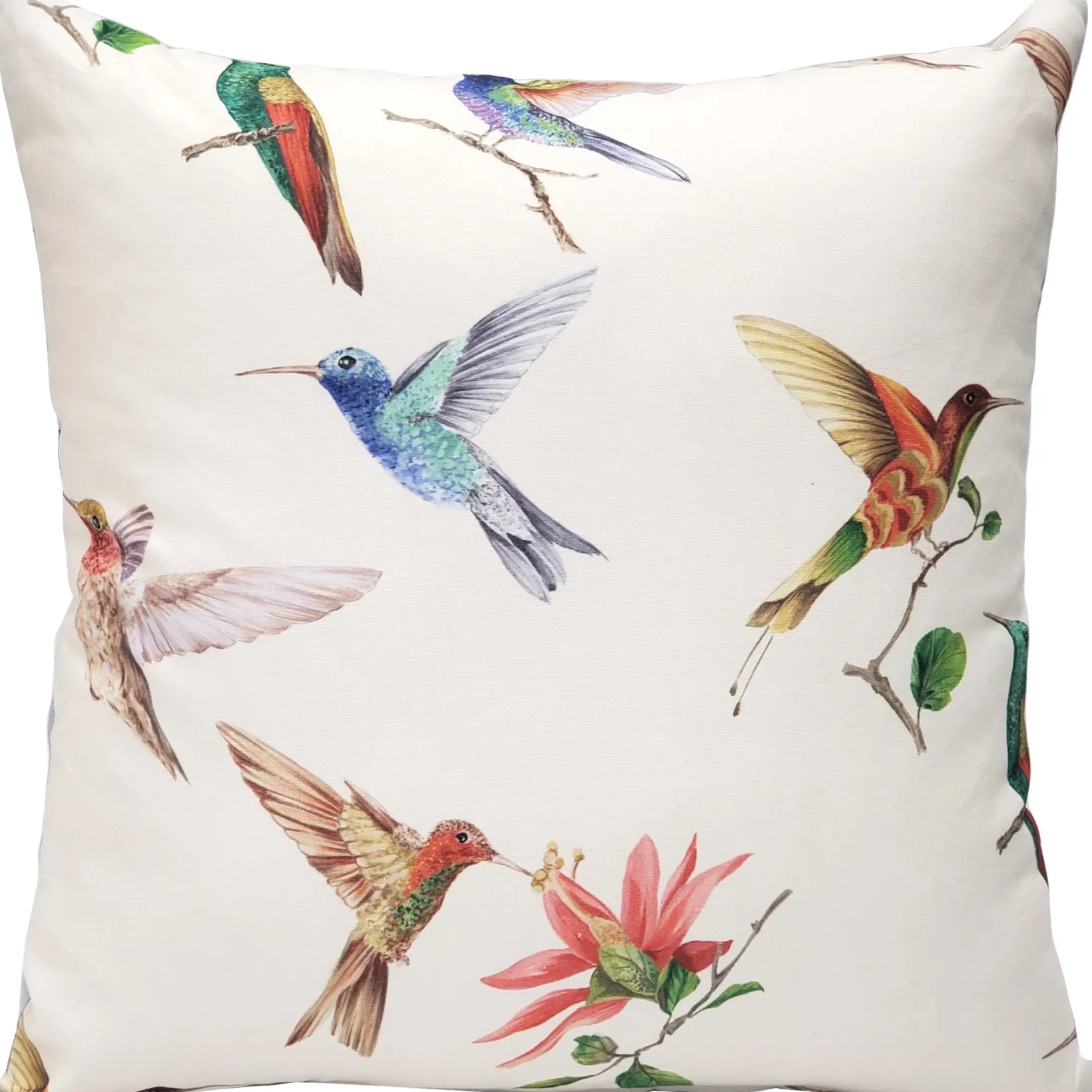 Monteverde Hummingbird Throw Pillow 21x21