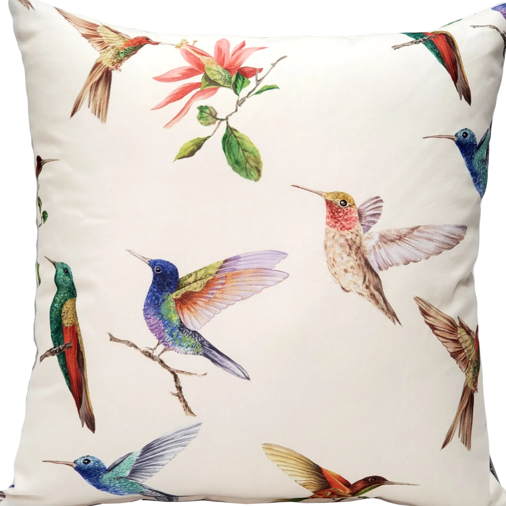 Monteverde Hummingbird Throw Pillow 21x21