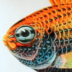 Princess Damselfish Fish Pillow 12x19