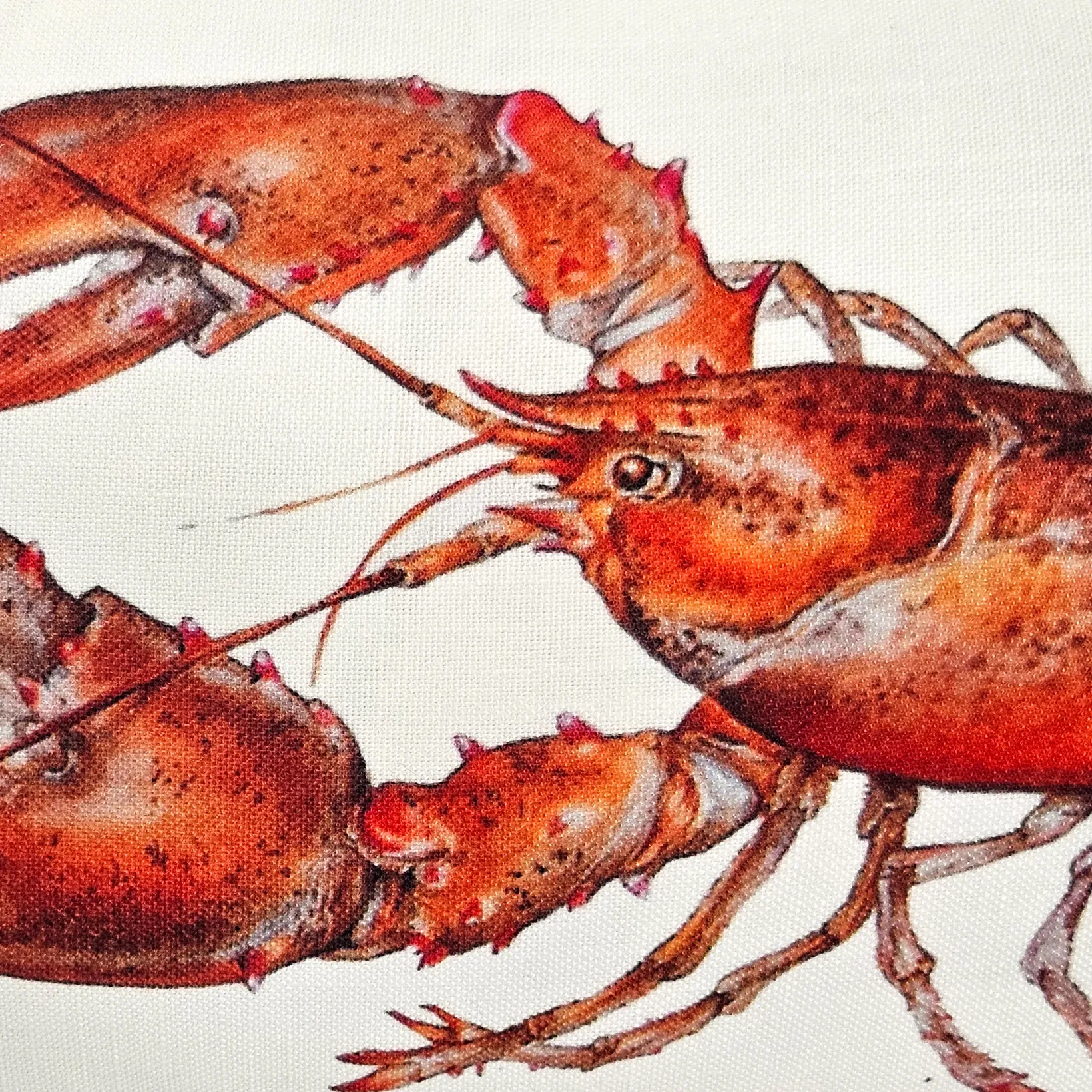 Rock Lobster Throw Pillow 12x19