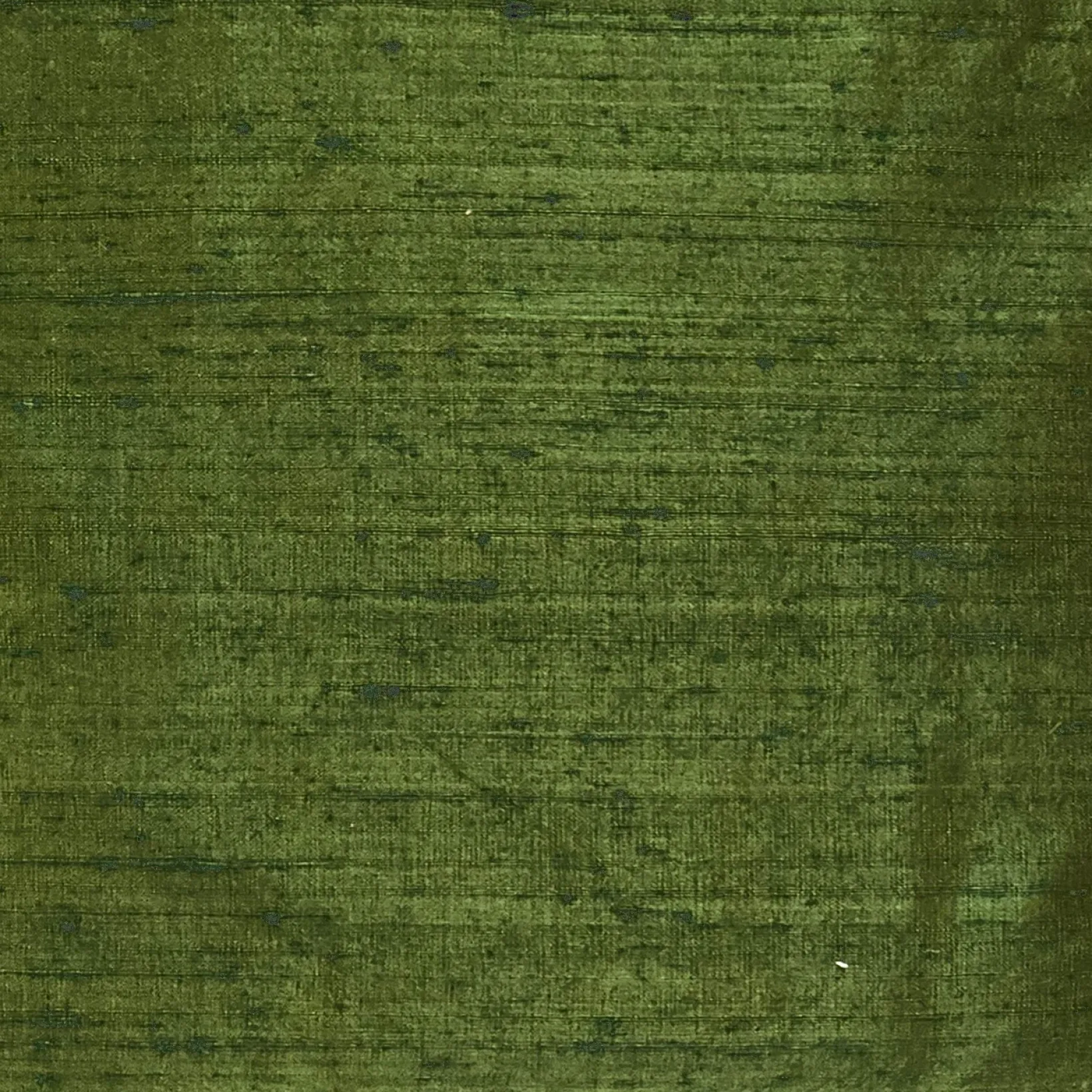 Sankara Avocado Green Silk Throw Pillow 16x16