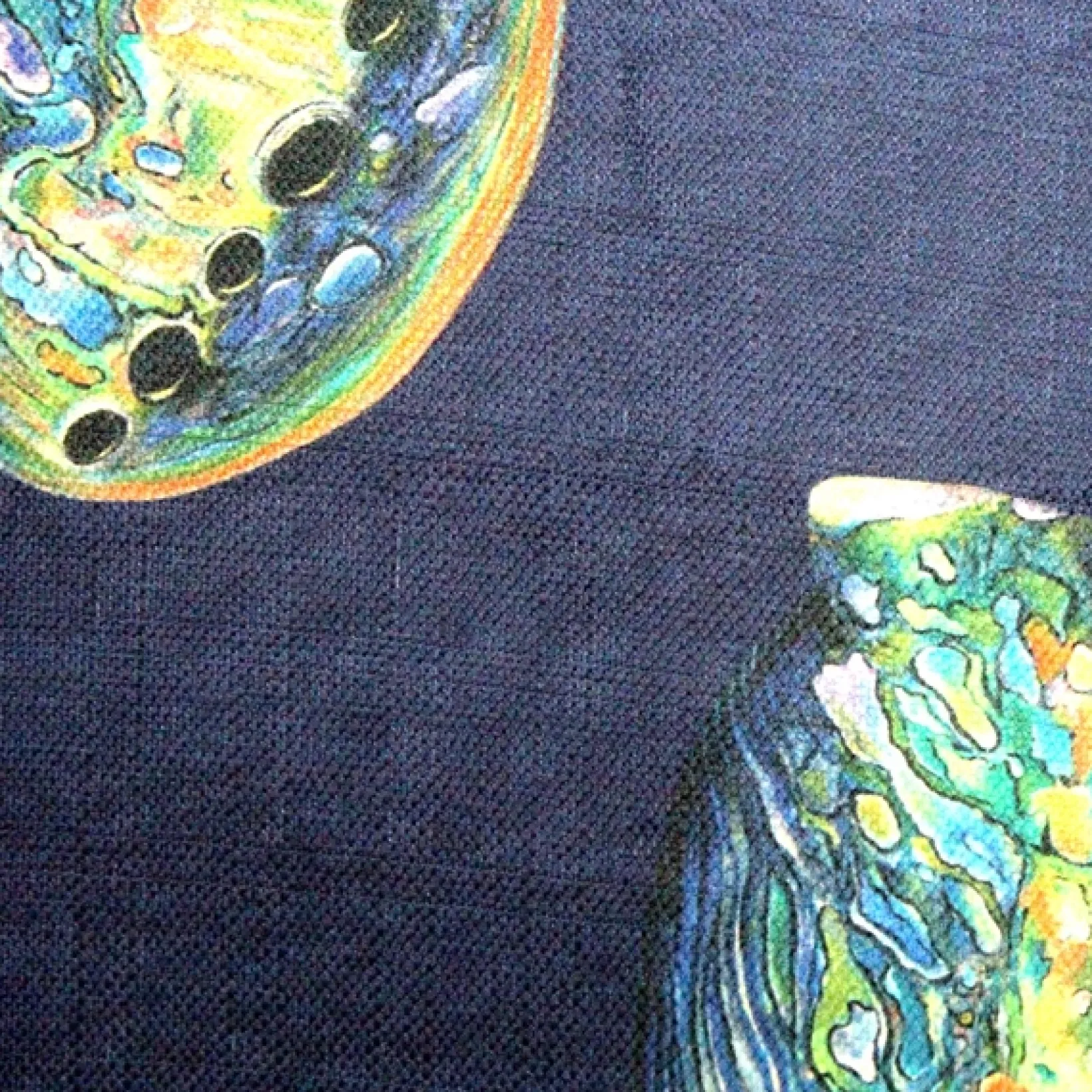Shoal Cape Abalone Large Scale Print Throw Pillow 20x20
