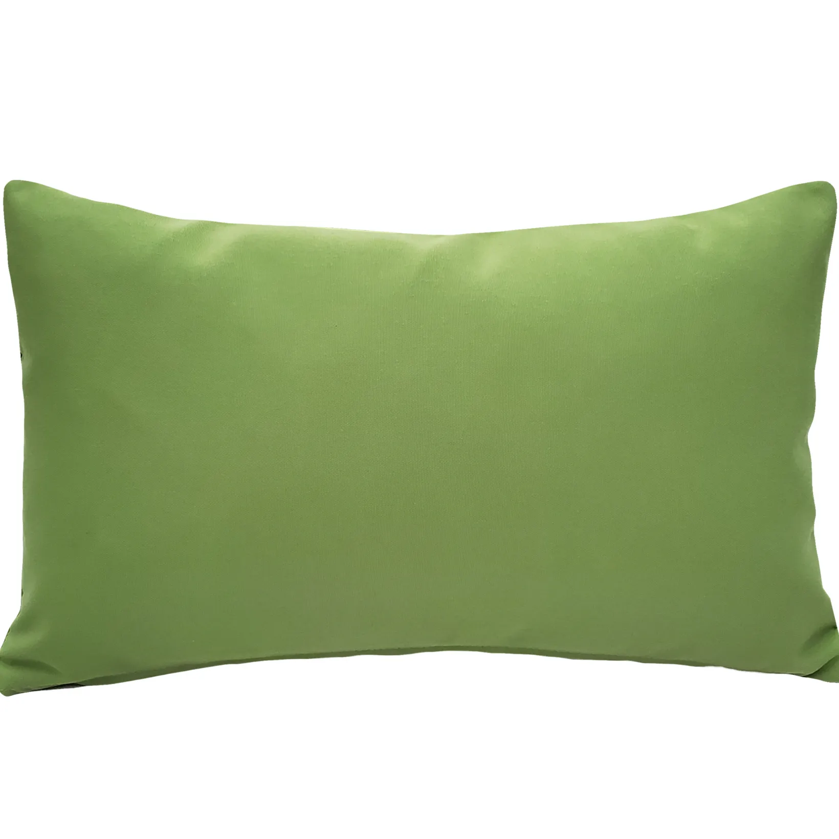 Sunbrella Ginko Green Outdoor Pillow 12x19