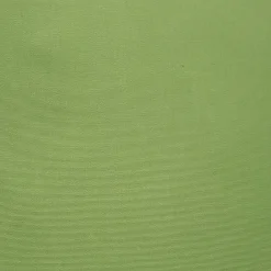 Sunbrella Ginko Green Outdoor Pillow 12x19