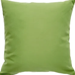 Sunbrella Ginko Green Outdoor Pillow 20x20