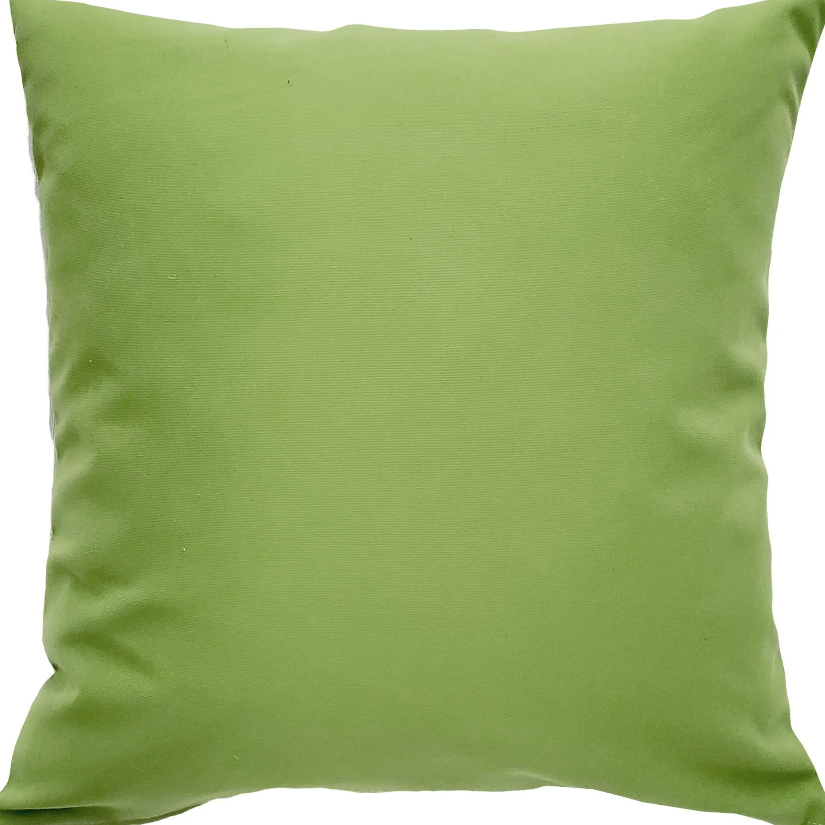 Sunbrella Ginko Green Outdoor Pillow 20x20