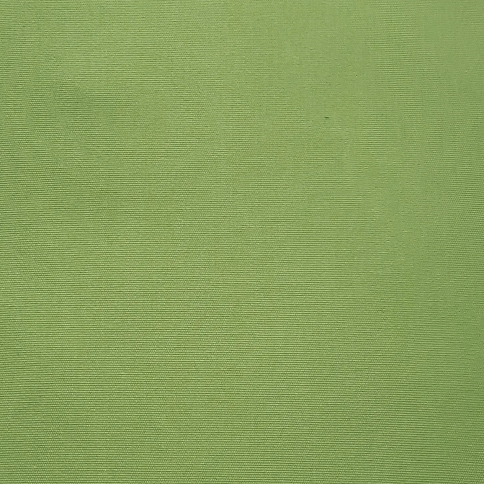 Sunbrella Ginko Green Outdoor Pillow 20x20