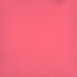 Sunbrella Hot Pink 12x19 Outdoor Pillow