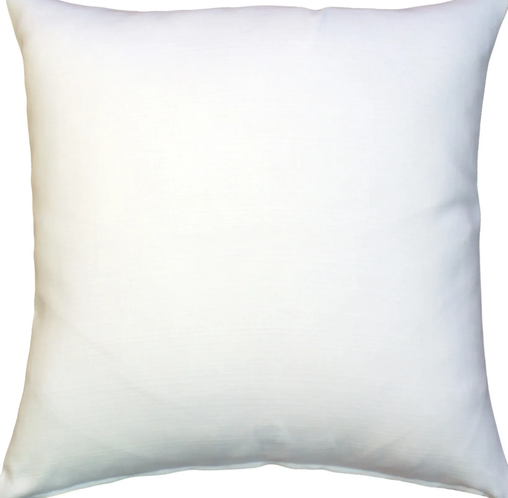 Sunshine and Sea-Charm Throw Pillow 20x20