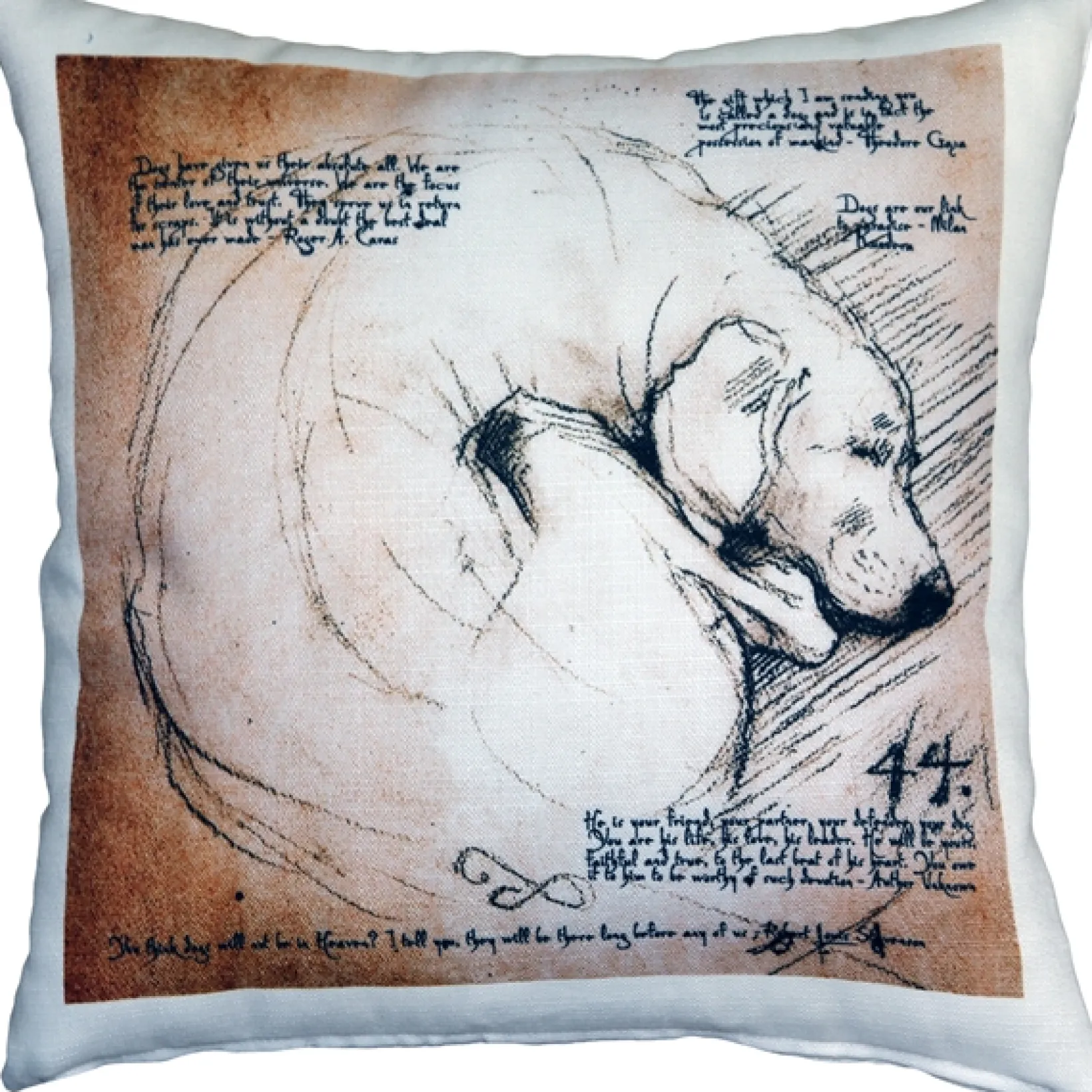 The Love of Dogs 17x17 Throw Pillow